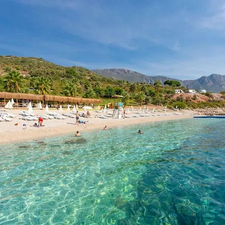 Poppy * Kalkan